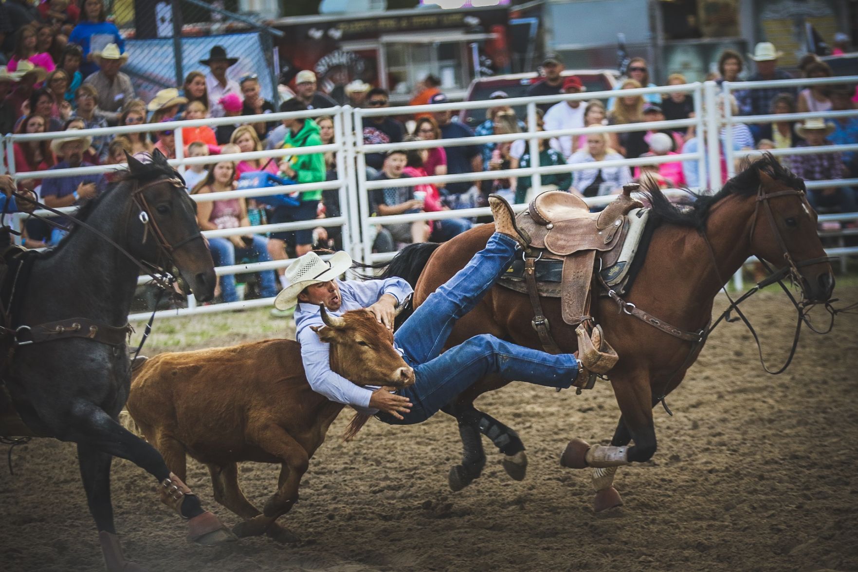 Buffalo Bill Rodeo Night 2 (44).jpg
